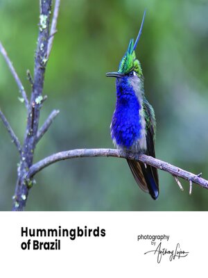 cover image of Hummingbirds of Brazil